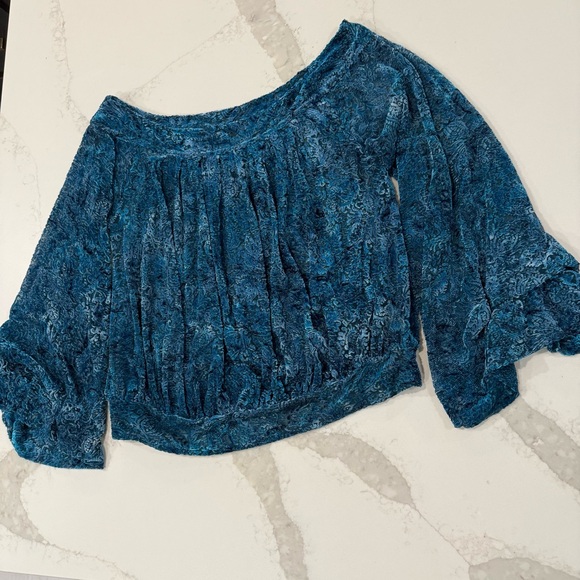 Free People Ginger Berry Sheer Top Burnout Velvet Women’s Medium Midnight Lagoon - Picture 5 of 12